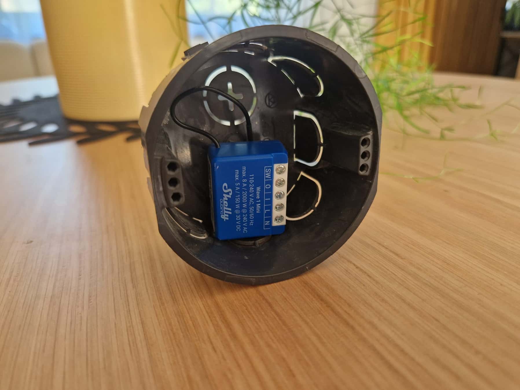 Shelly wave mini v krabicke